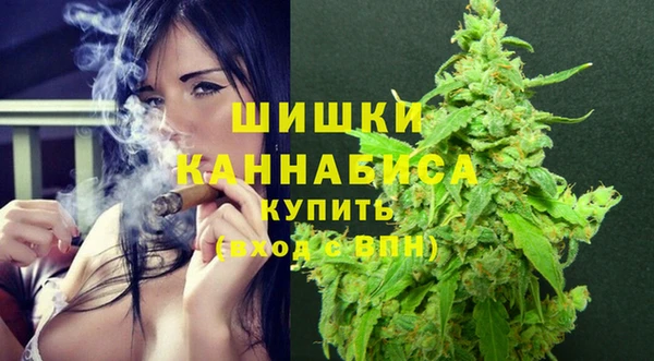 эйфоретик Белокуриха