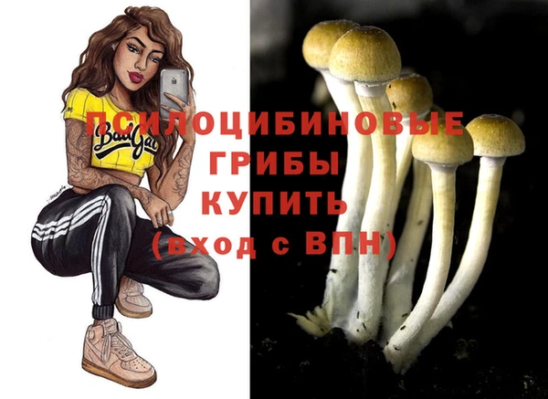 эйфоретик Белокуриха